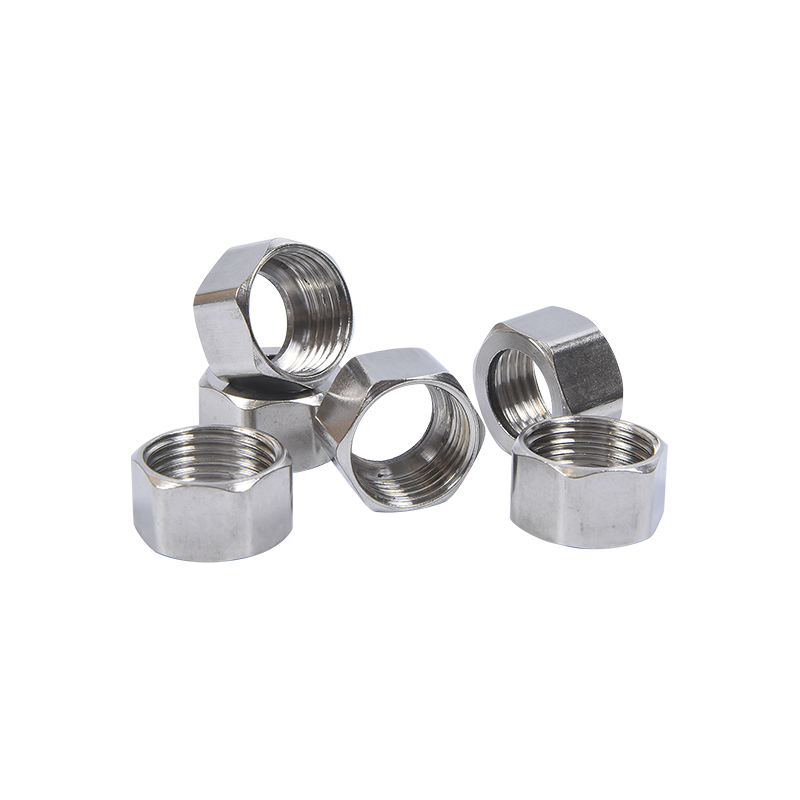 Ống thổi bằng thép không gỉ Chủ đề nội bộ Nut lục giác